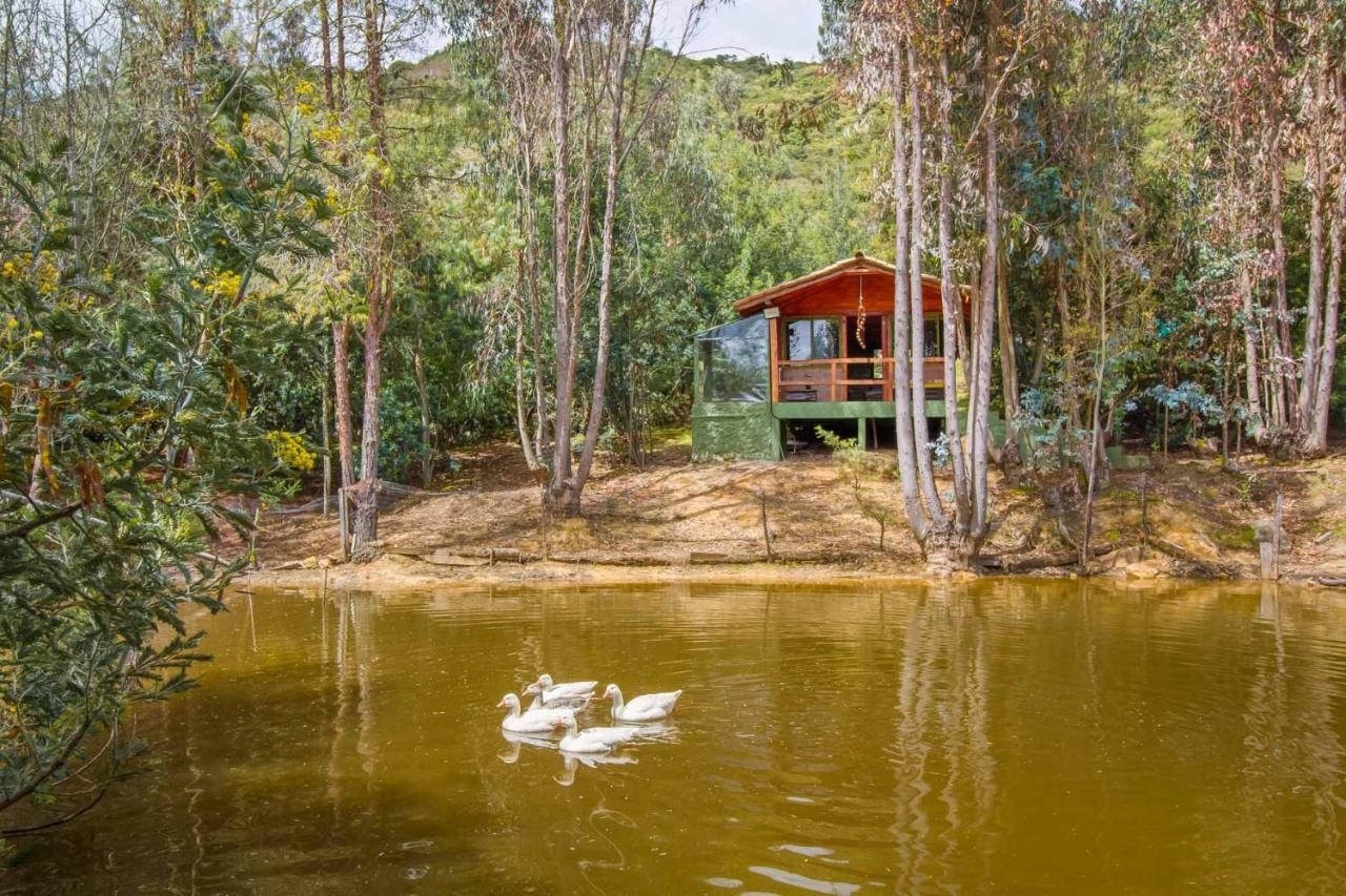 Cabana Tipo Glamping Savieza Life Experience Nemocon Εξωτερικό φωτογραφία